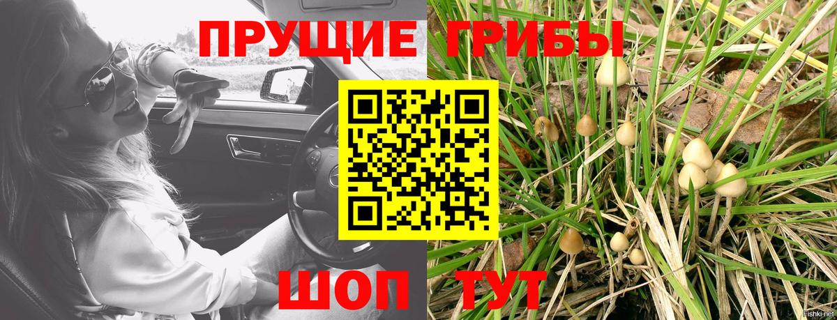 Псилоцибиновые грибы Psilocybe  Вход с VPN  Домодедово  Галлюциногенные грибы MAGIC MUSHROOMS 